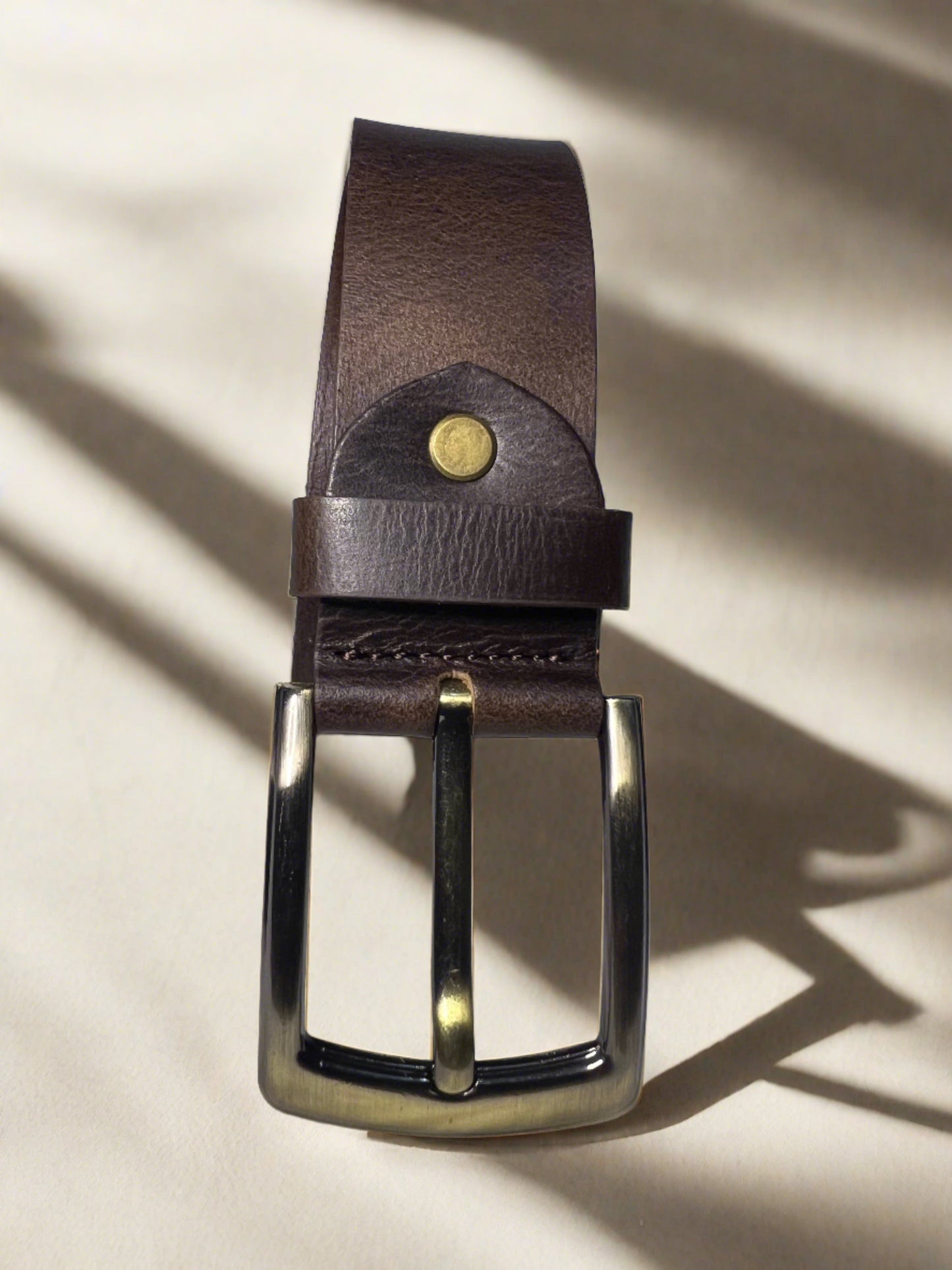 TrendyE Casual Plain Belts